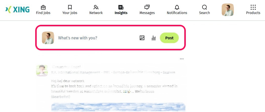 XING Insights - Share updates