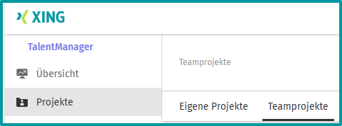 DE_XTM_Projekte_Team.png