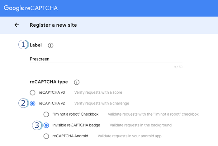 1_EN_DOK_Google_reCaptcha_700px.png