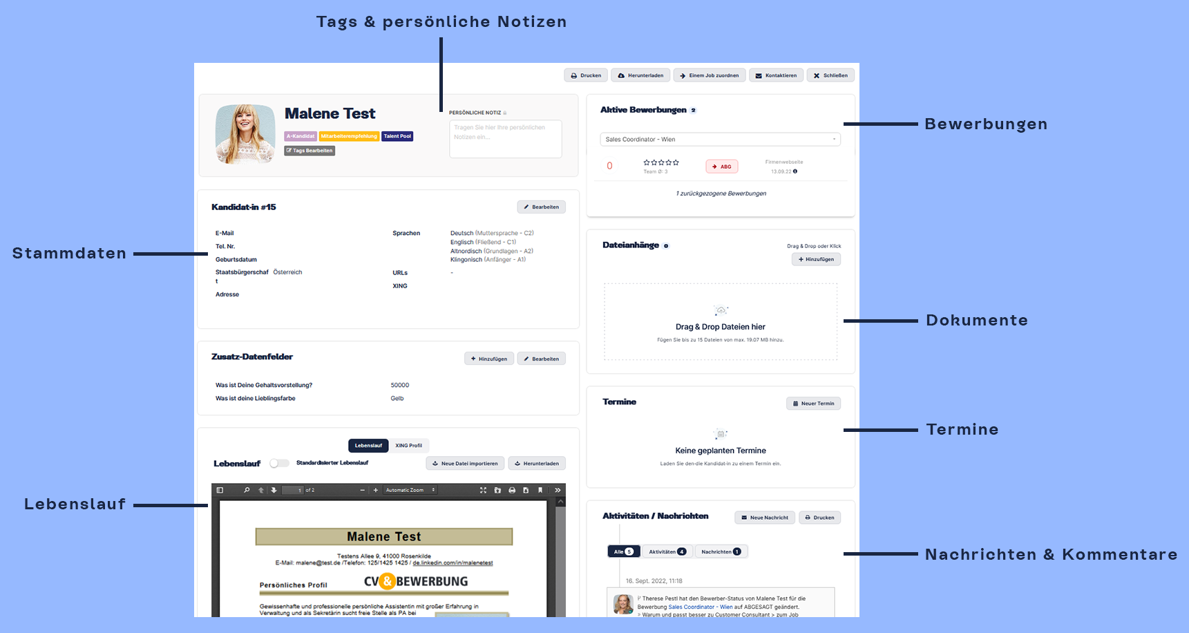 7_DE_DOK_Kandidatenprofil_20230210.png